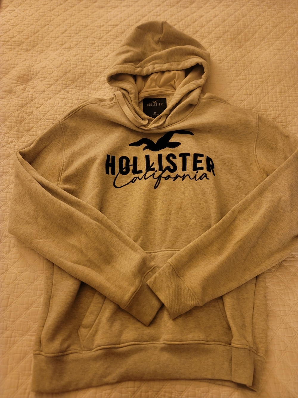 Hollister Men's Tan Hoodie with Navy Logo